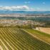 Panoramic,Aerial,Photo,Of,The,Ripening,Grape,Fields,During,The