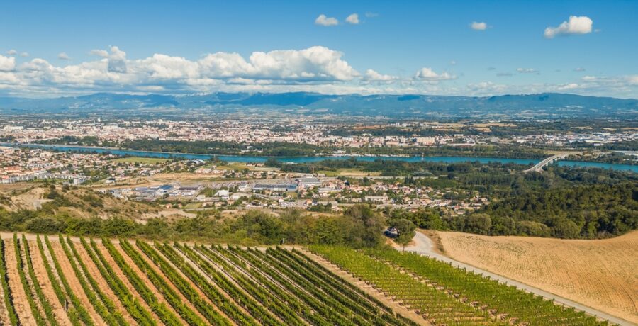 Panoramic,Aerial,Photo,Of,The,Ripening,Grape,Fields,During,The